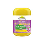 Nature’s Way Kids Smart Vita Gummies Multi-Vitamin+ 60 Pastilles